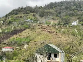 იყიდება მიწის ნაკვეთი, სასოფლო - სამეურნეო, თხილნარი