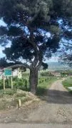 Land For Sale, Tserovani