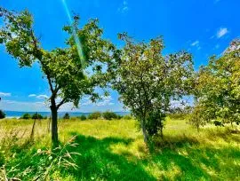 Land For Sale, Special, Giorgitsminda