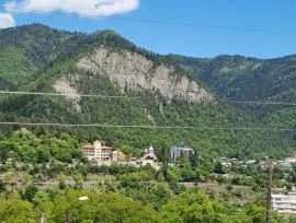 Daily Apartment Rent, New building, Borjomi