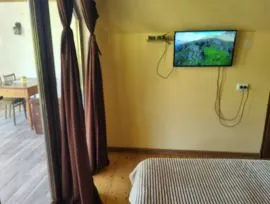 Daily Apartment Rent, New building, Borjomi