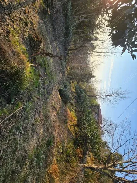 Land For Sale, Agricultural, Tamari Settlement
