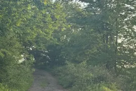 Land For Sale, Non Agricultural, Tetri Tsqlebi