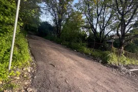 Land For Sale, Non Agricultural, Tetri Tsqlebi