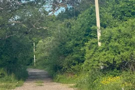 Land For Sale, Non Agricultural, Tetri Tsqlebi