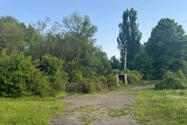 Land For Sale, Non Agricultural, Tetri Tsqlebi