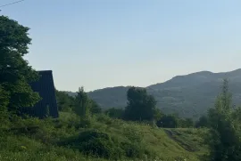Land For Sale, Non Agricultural, Tetri Tsqlebi