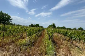 Land For Sale, Special, Akhateli