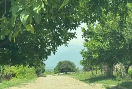 Land For Sale, Special, Akhateli