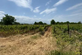Land For Sale, Special, Akhateli