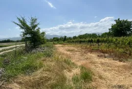 Land For Sale, Special, Akhateli