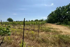 Land For Sale, Special, Akhateli