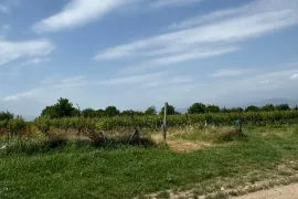 Land For Sale, Special, Akhateli