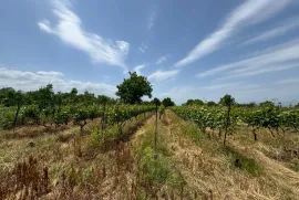 Land For Sale, Special, Akhateli