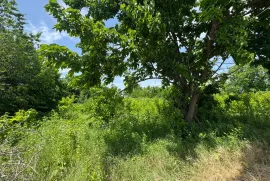 Land For Sale, Special, Akhateli