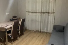 Аренда, 2 Kомнатная, Новостройка, Тбилиси, Самгори