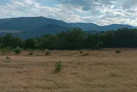 იყიდება მიწის ნაკვეთი, სასოფლო - სამეურნეო, დიდგორი