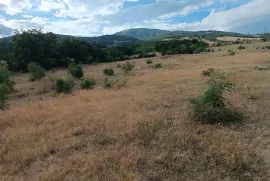 იყიდება მიწის ნაკვეთი, სასოფლო - სამეურნეო, დიდგორი