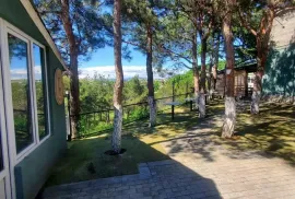For Rent, Gross Building, Nadzaladevi