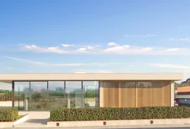 იყიდება მიწის ნაკვეთი, სასოფლო - სამეურნეო, ბაზალეთი 