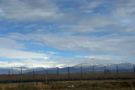 იყიდება მიწის ნაკვეთი, სასოფლო - სამეურნეო, თერნალი