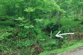 Land For Sale, Agricultural, Tsinsvla, Chelta