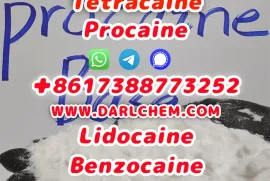 იყიდება მიწის ნაკვეთი