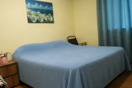 იყიდება სახლი, 5 ოთახიანი, ონი, ზუდალი