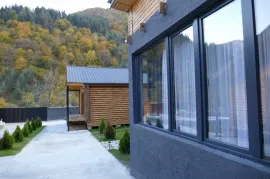 House For Rent, 10 Room, Dusheti , Pasanauri
