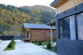 House For Rent, 10 Room, Dusheti , Pasanauri