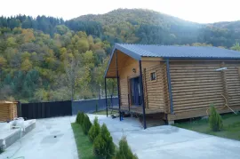House For Rent, 10 Room, Dusheti , Pasanauri