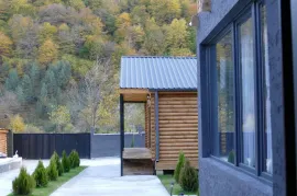 House For Rent, 10 Room, Dusheti , Pasanauri