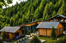 House For Rent, 10 Room, Dusheti , Pasanauri