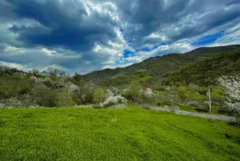 Land For Sale, Agricultural, Ananuri 
