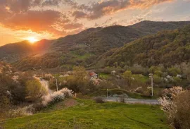 Land For Sale, Agricultural, Ananuri 