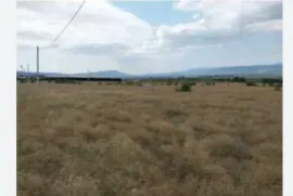 Продается Земля, Чардахи