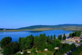 იყიდება მიწის ნაკვეთი, სასოფლო - სამეურნეო, ბაზალეთი 