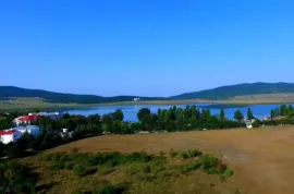იყიდება მიწის ნაკვეთი, სასოფლო - სამეურნეო, ბაზალეთი 