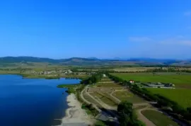 იყიდება მიწის ნაკვეთი, სასოფლო - სამეურნეო, ბაზალეთი 