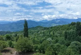 იყიდება მიწის ნაკვეთი, სასოფლო - სამეურნეო, პატარა ონი