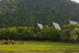 Land For Sale, Agricultural, Sadgeri