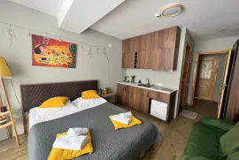 Продается квартира, 1 Kомнатная, Новостройка, Боржомский район, Бакуриани