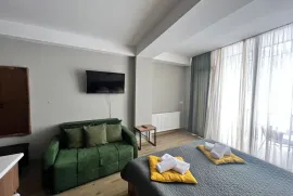 Продается квартира, 1 Kомнатная, Новостройка, Боржомский район, Бакуриани