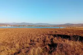Land For Sale, Non Agricultural, Bazaleti 