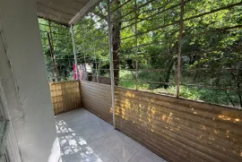 House For Sale, 4 Room, Suburbs of Tbilisi, Tskneti