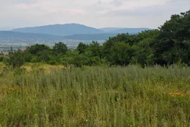 Land For Sale, Agricultural, Mtskheta