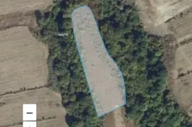 Land For Sale, Agricultural, Mtskheta