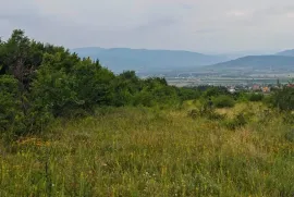 Land For Sale, Agricultural, Mtskheta
