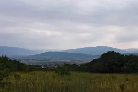 Land For Sale, Agricultural, Mtskheta