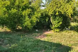იყიდება მიწის ნაკვეთი, სასოფლო - სამეურნეო, სართიჭალა